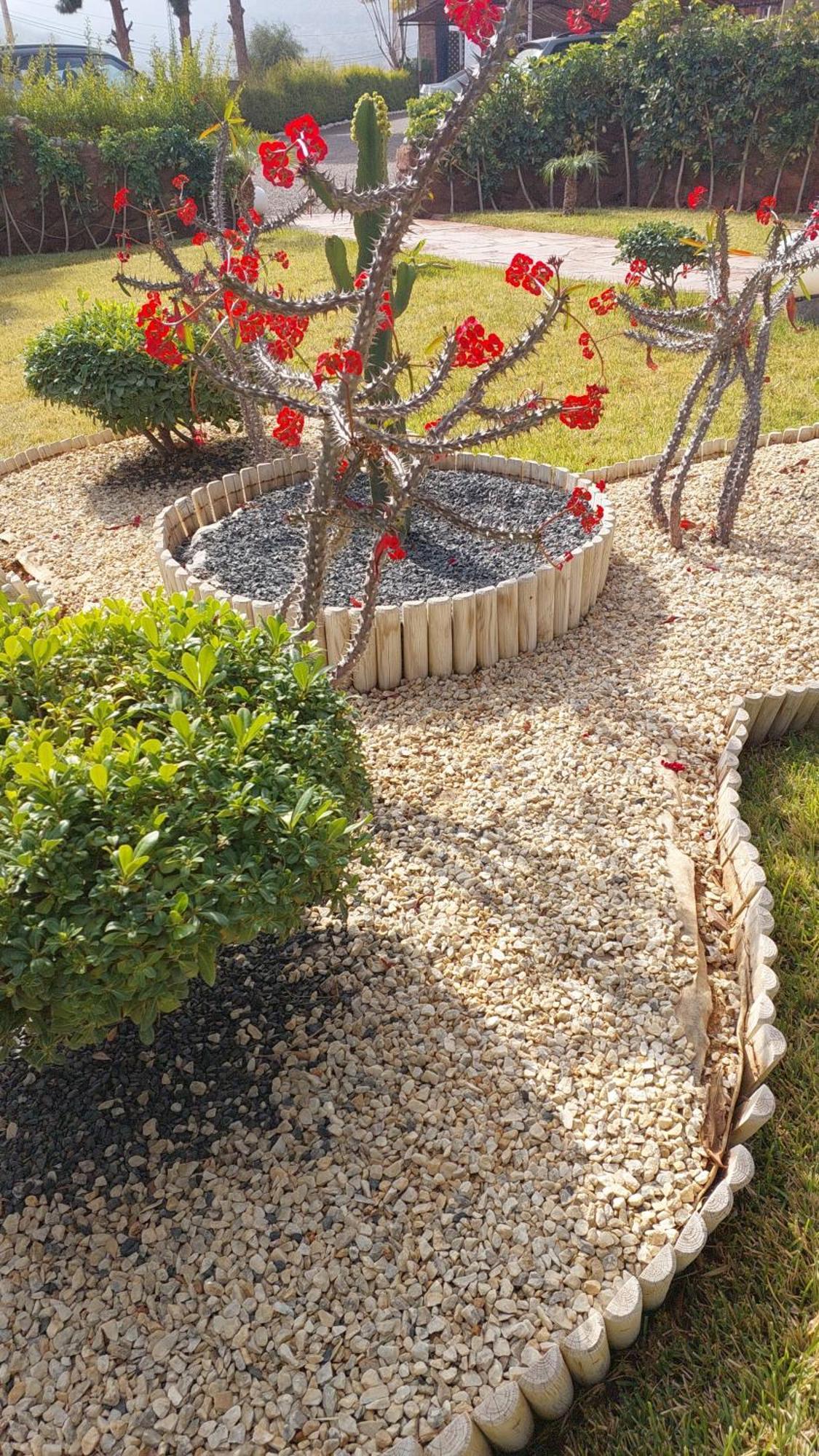 Chez Mamouchthka Bed & Breakfast Ourika Luaran gambar