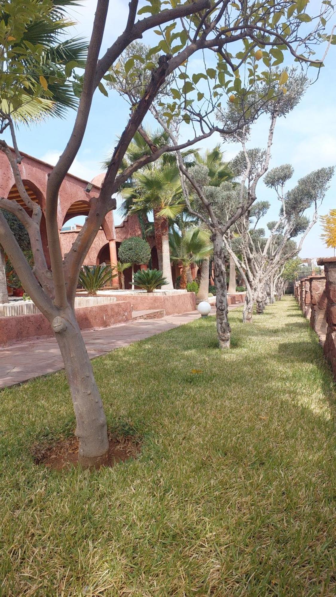 Chez Mamouchthka Bed & Breakfast Ourika Luaran gambar